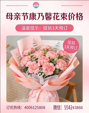 张家口康保县花店母亲节康乃馨花束