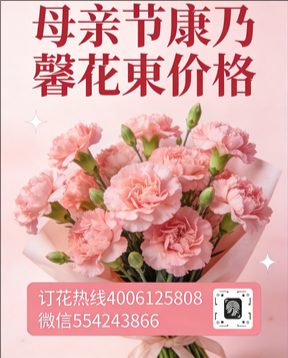 张家口康保县花店母亲节康乃馨花束